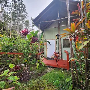 https://rustic-cabin-in-volcano-with-private-kitchenbathroom.hotelsinhawaii.org